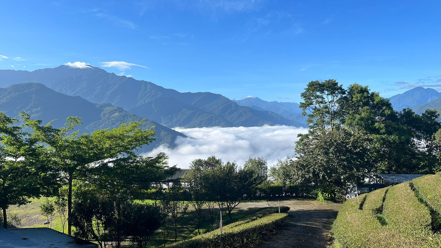 【旅行團】台中雲海露營採茶體驗5天休閒美景之旅（不含來回機票）